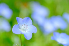 散歩の途中で.。3