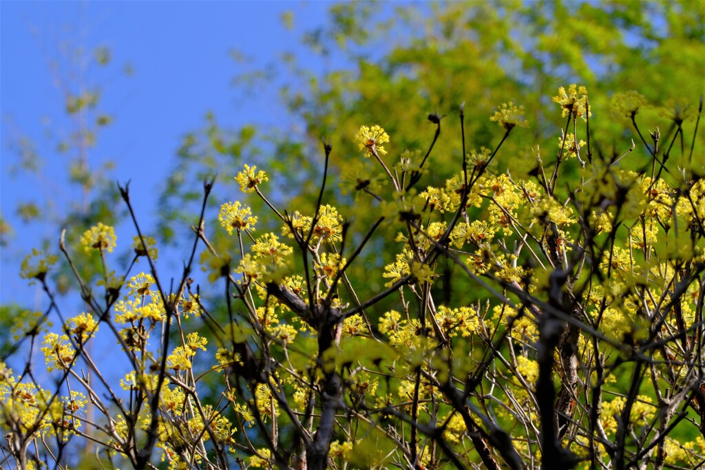 散歩の途中で。Ⅵ