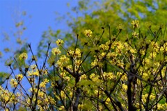 散歩の途中で。Ⅵ