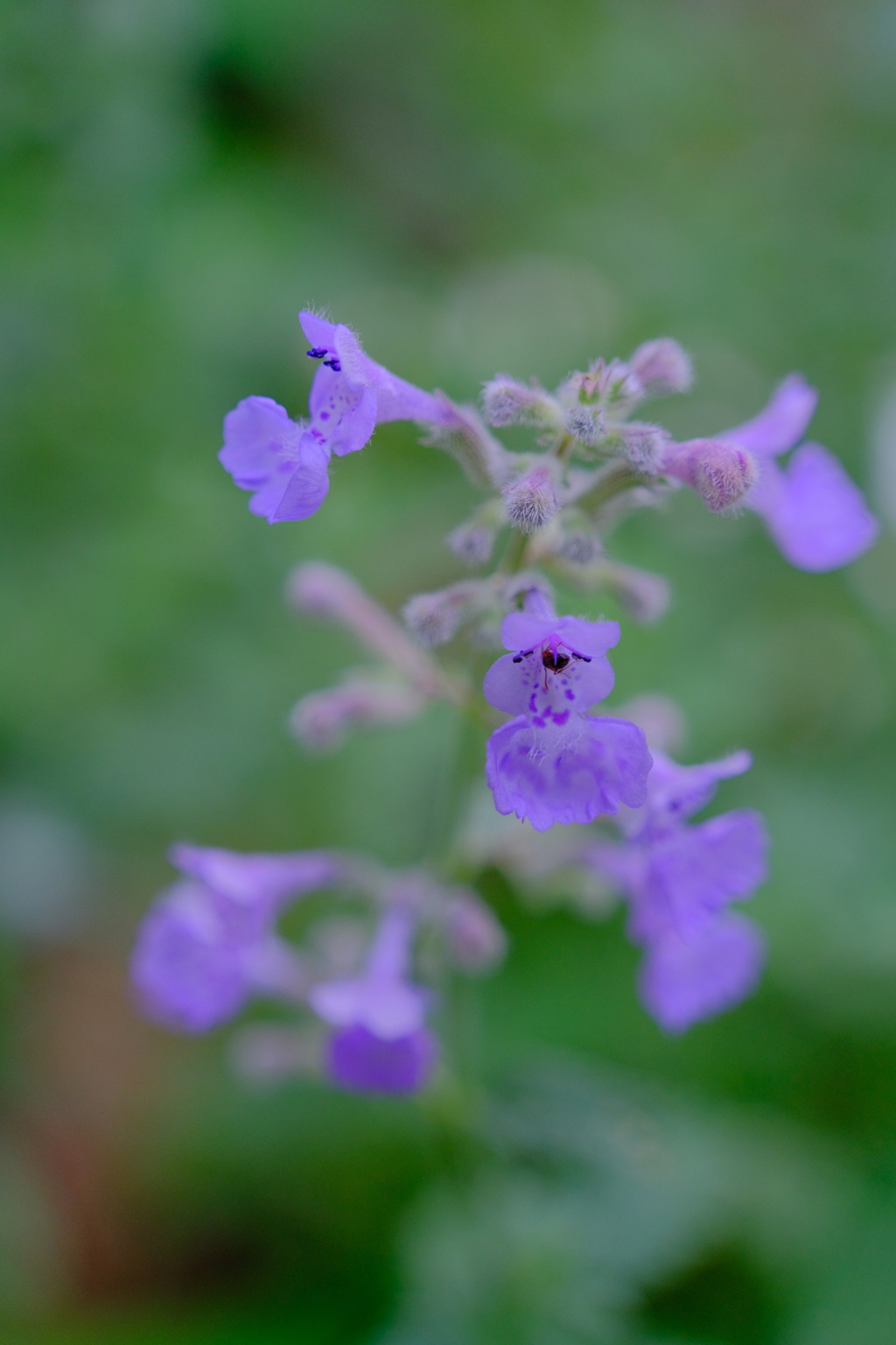 散歩の途中で。Ⅹ