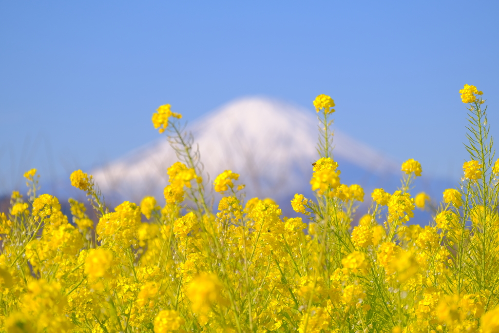 散歩の途中で。１