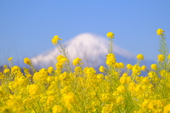 散歩の途中で。１