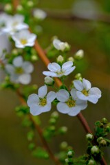 散歩の途中で。4