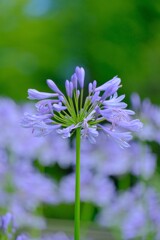 散歩の途中で。Ⅳ