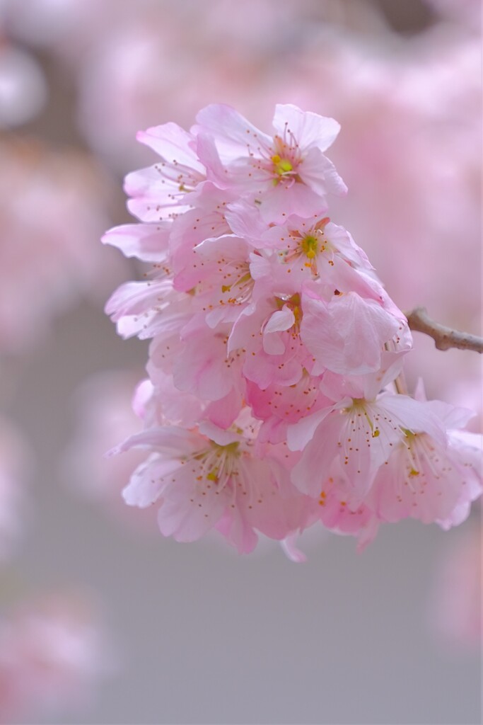 散歩の途中で。⑥