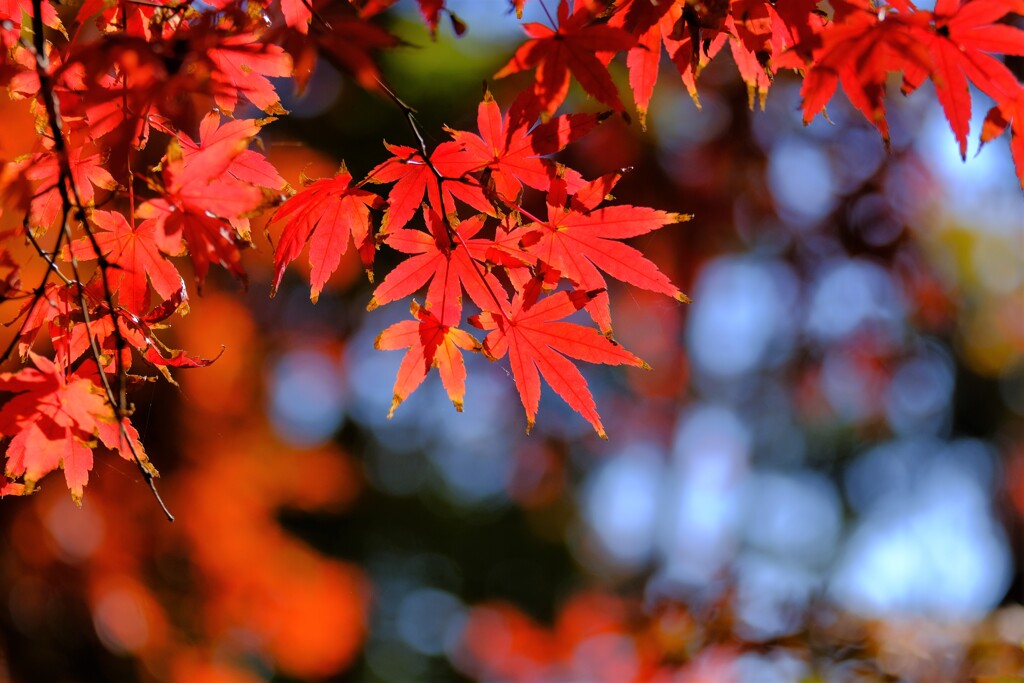 散歩の途中で。１