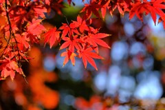 散歩の途中で。１