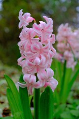 散歩の途中で。①