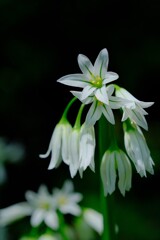 散歩の途中で。2