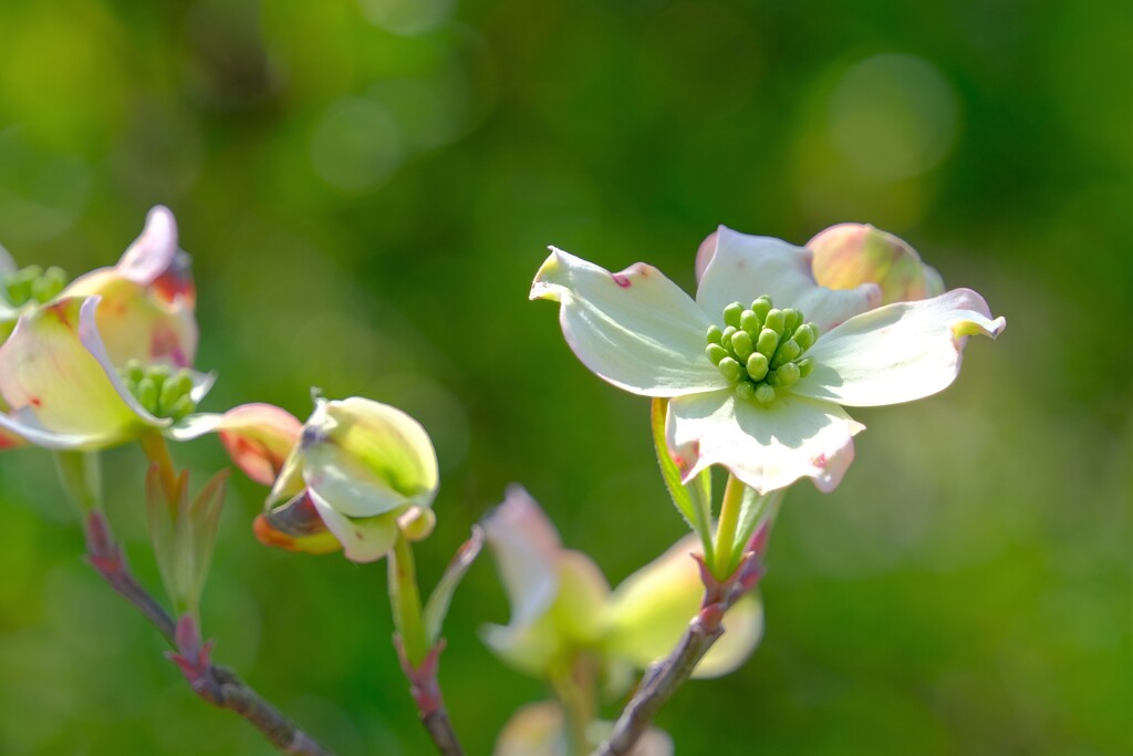 散歩の途中で。Ⅶ