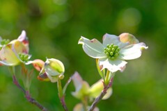 散歩の途中で。Ⅶ