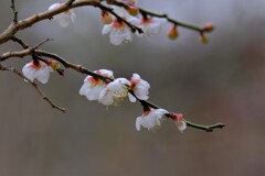 散歩の途中で。Ⅳ