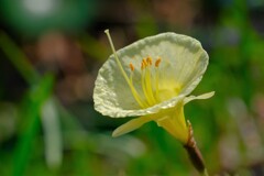 散歩の途中で。８