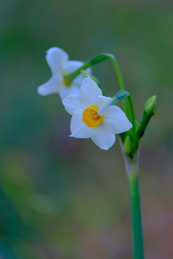 散歩の途中で。7