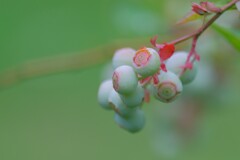 散歩の途中で。