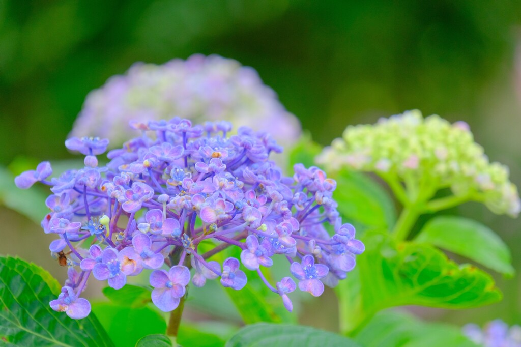 散歩の途中で。