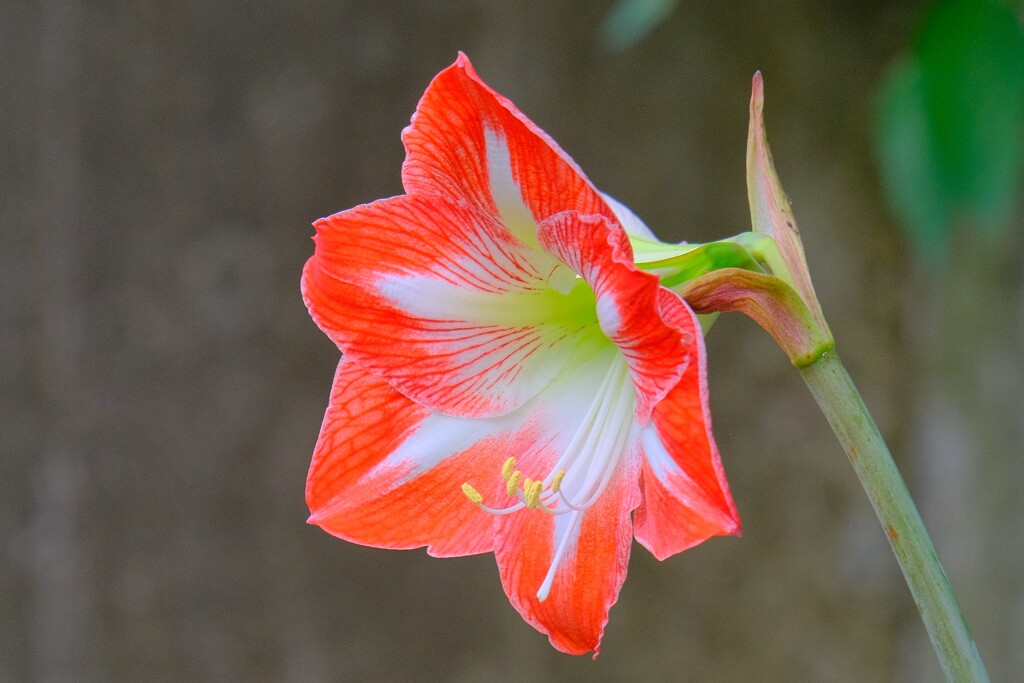 散歩の途中で。