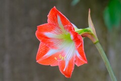 散歩の途中で。