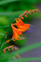 散歩の途中で。Ⅳ