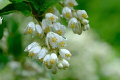 散歩の途中で。⑬