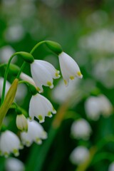 散歩の途中で。6