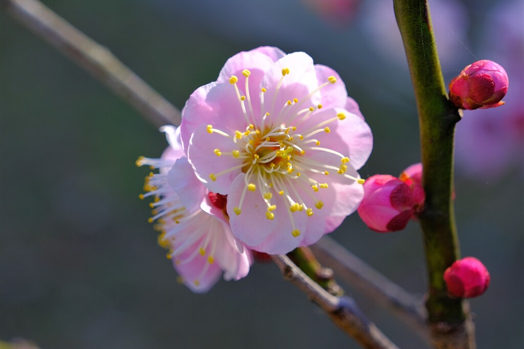 散歩の途中で。Ⅰ
