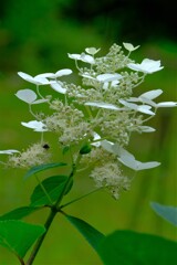 散歩の途中で。⑩