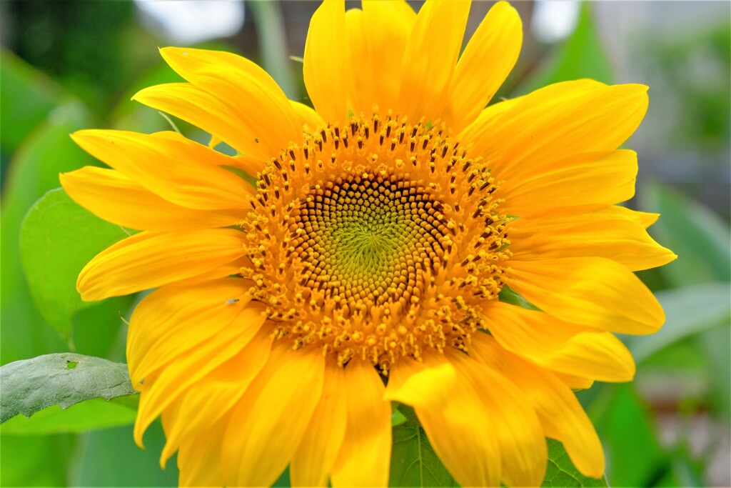 散歩の途中で。（５）