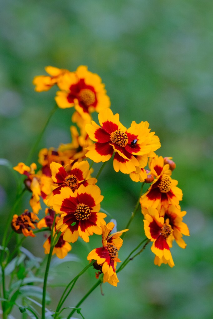 散歩の途中で。Ⅸ