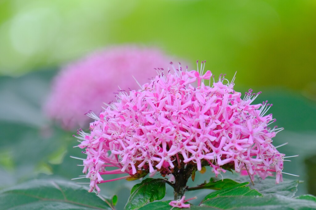 散歩の途中で。