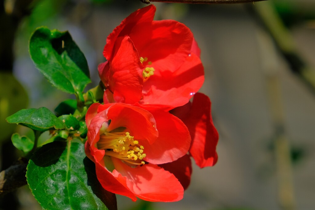 散歩の途中で。３