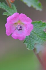 散歩の途中で。Ⅳ