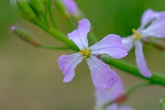 散歩の途中で。②