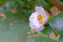 散歩の途中で、Ⅲ