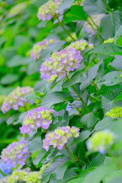 散歩の途中で。