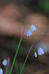 散歩の途中で。Ⅴ