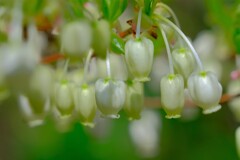 散歩の途中で。Ⅲ