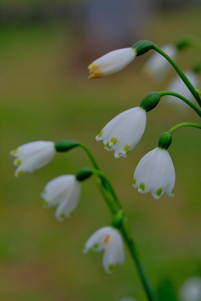 散歩の途中で。⑩