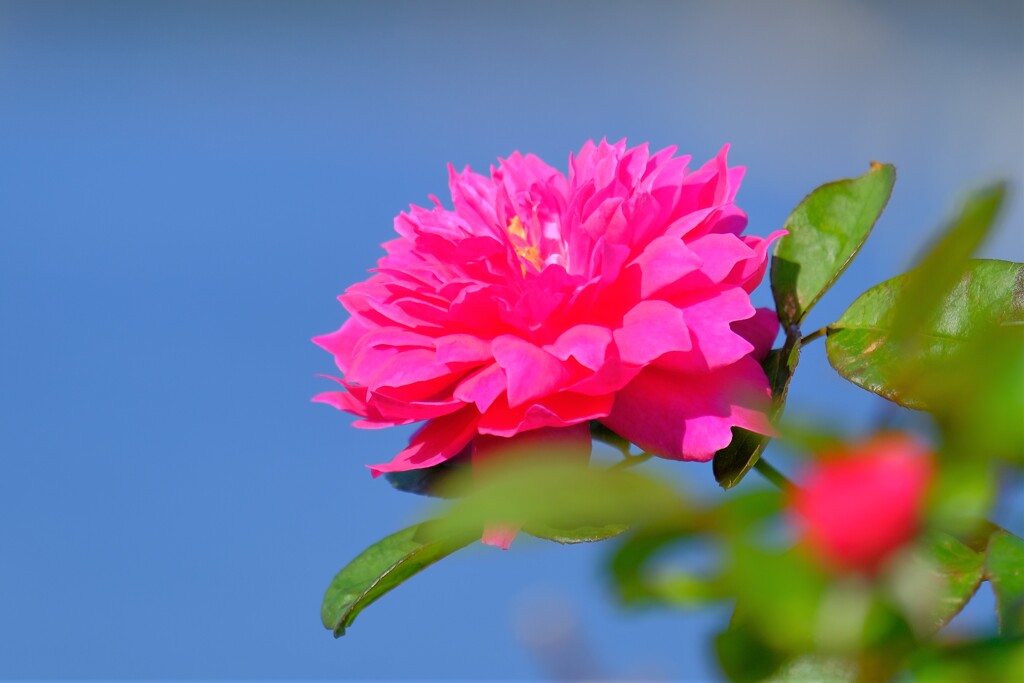 散歩の途中で。8