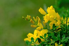 散歩の途中で。Ⅵ