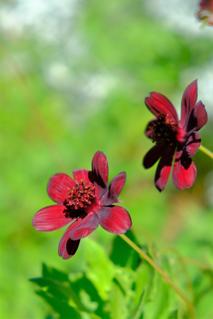 散歩の途中で。Ⅰ