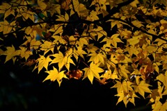 散歩の途中で。②