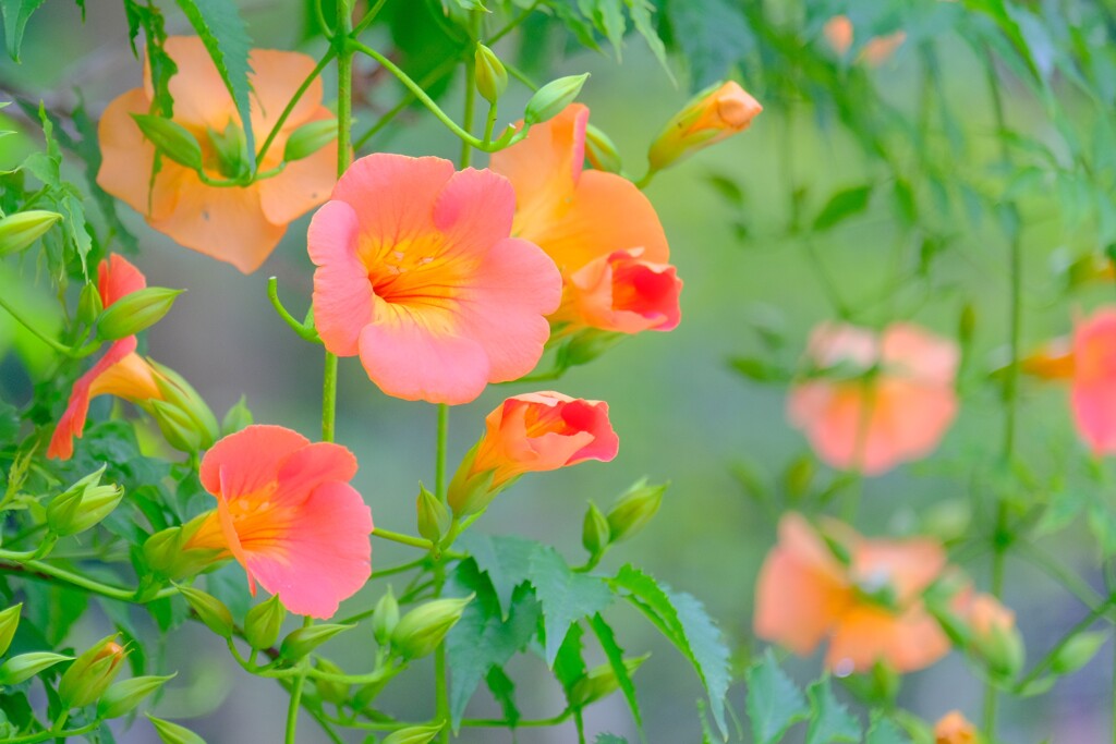 散歩の途中で。