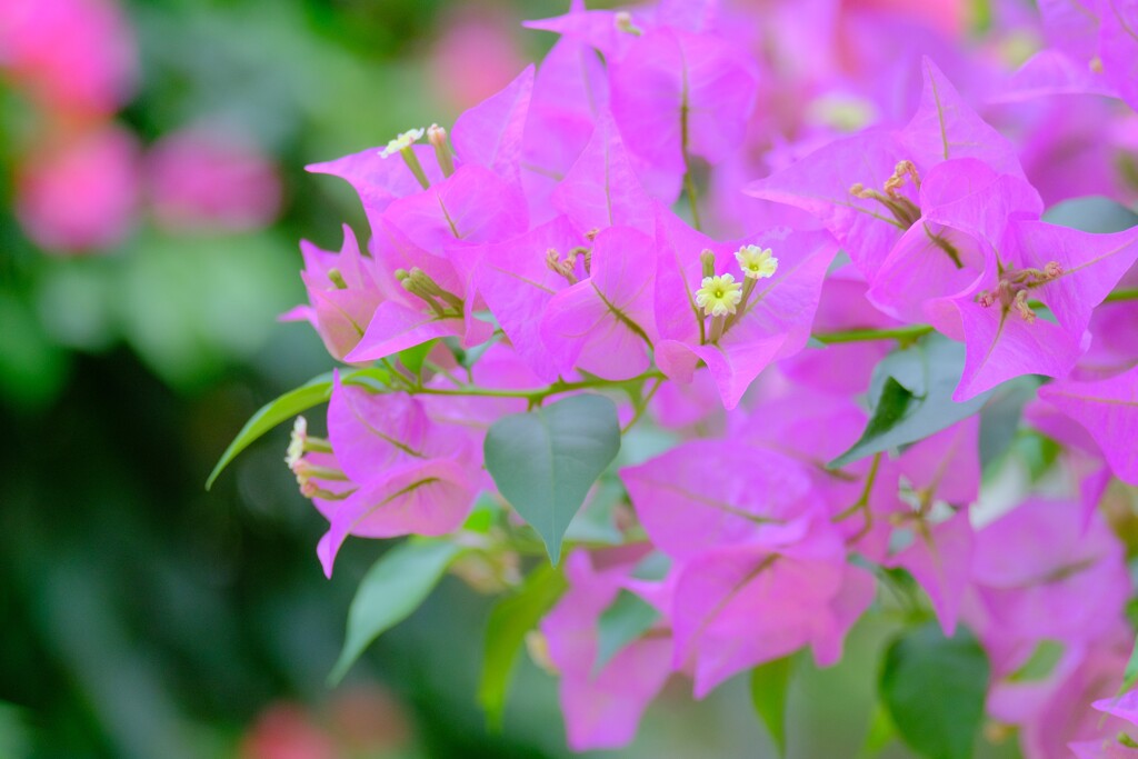 散歩の途中で。