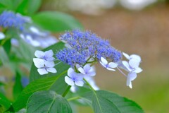 散歩の途中で。５