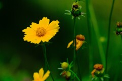 散歩の途中で。