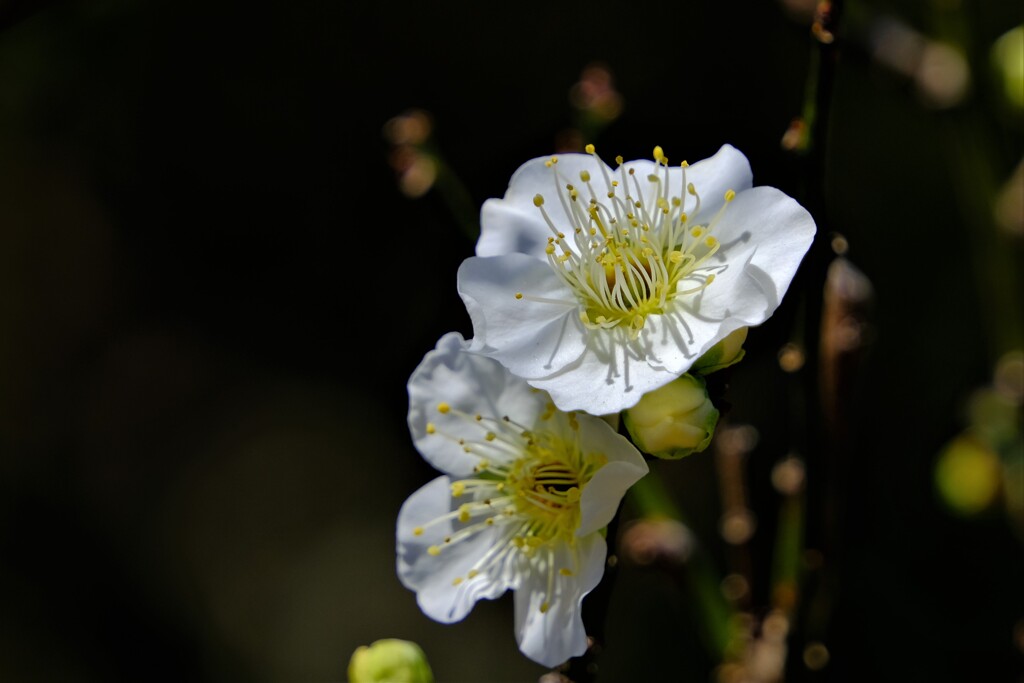 散歩の途中で。Ⅹ