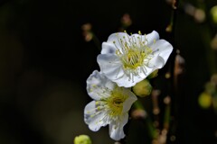 散歩の途中で。Ⅹ