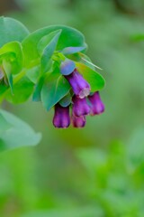 散歩の途中で。⑤