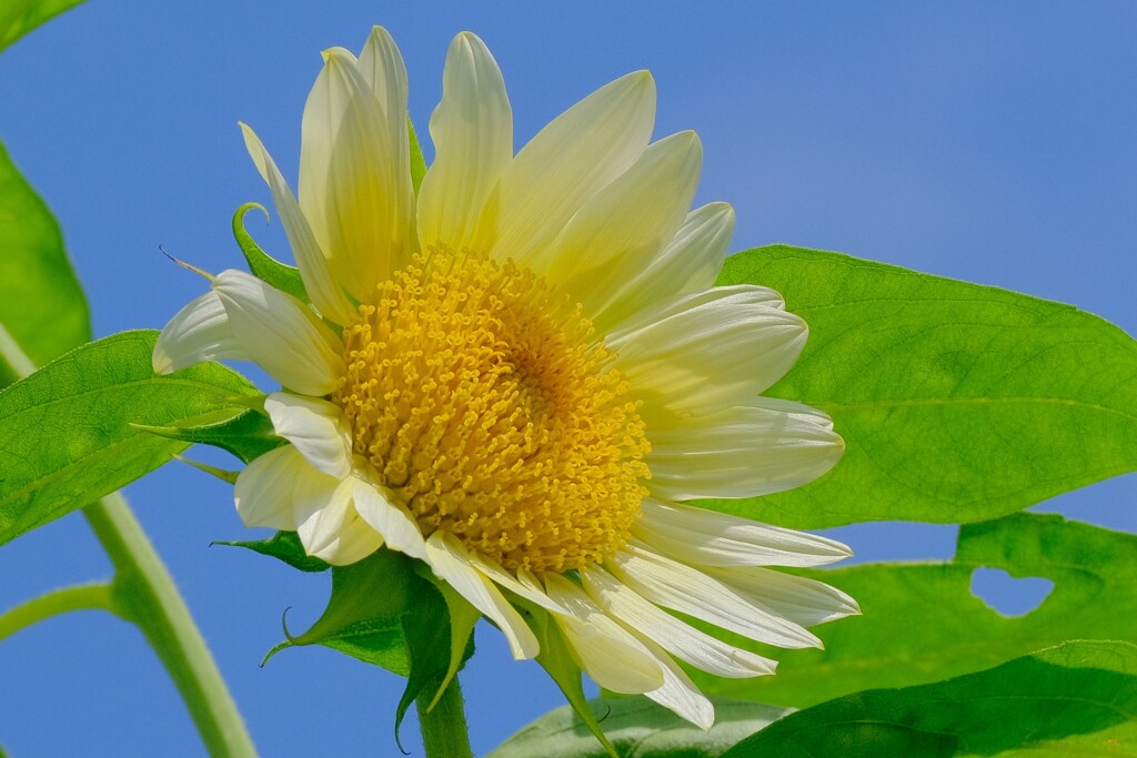 散歩の途中で。